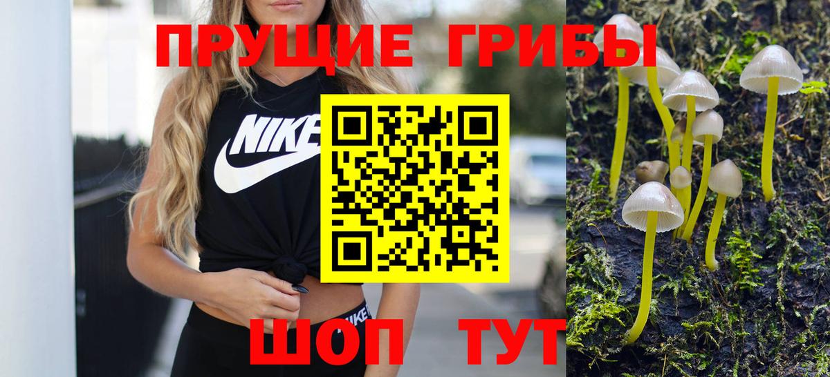 Зеленокумск  Псилоцибиновые грибы Cubensis  Вход с VPN 