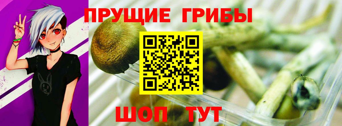 Псилоцибиновые грибы мицелий Зеленокумск